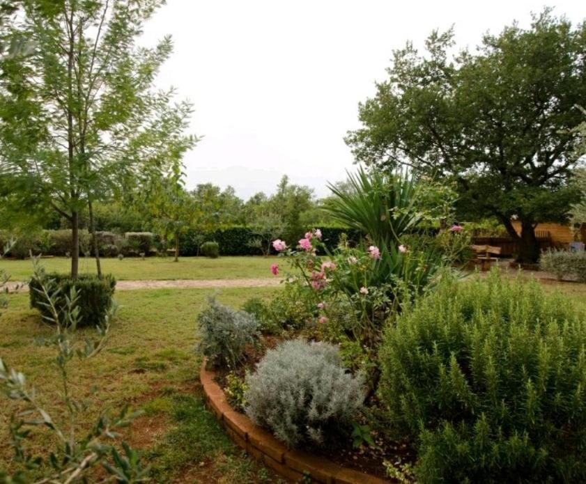 Apartman Perci Vrh Tar-Vabriga Extérieur photo