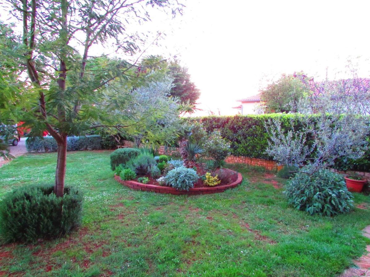 Apartman Perci Vrh Tar-Vabriga Extérieur photo